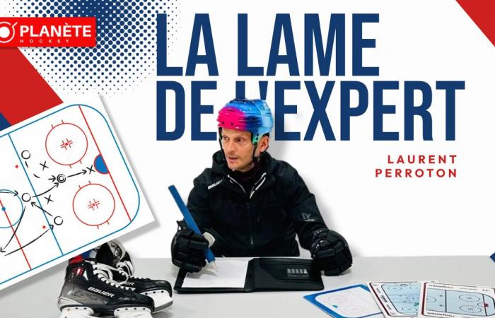 «LA LAME DE L’EXPERT» – To be or not to be – Planète Hockey