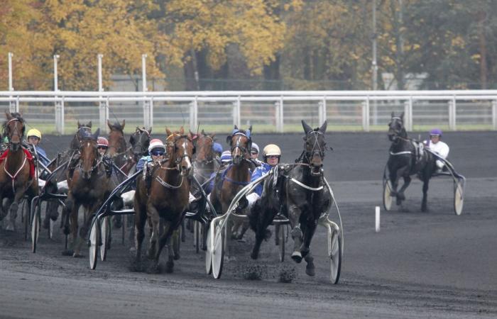 The predictions for the Quinté de Paris-Vincennes for Tuesday January 14, 2025 by Jack Vautrin