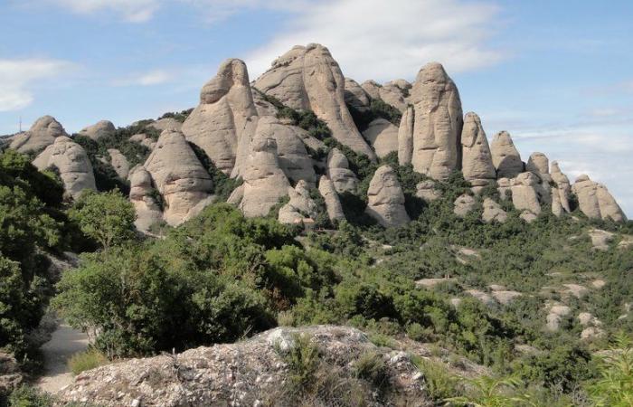 He went hiking and never returned home: a young Catalan, aged 25, went missing and was finally found dead in the mountains