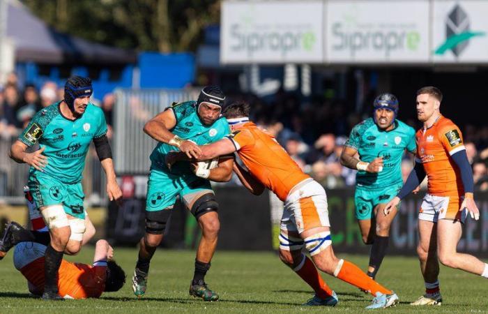 Challenge Cup – Against Edinburgh and its internationals, the (big) heart of Vannes was not enough