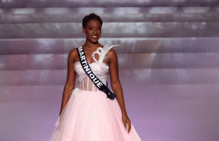 Angélique Angarni-Filopon (Miss France 2025) scalding a passenger in mid-flight