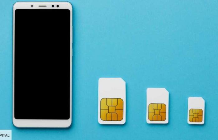 here is which card to choose for your phone in 2025