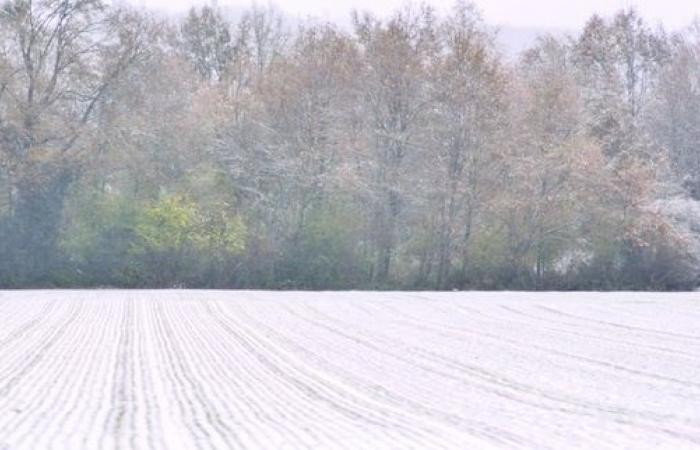 New episode of snow in the plains Friday