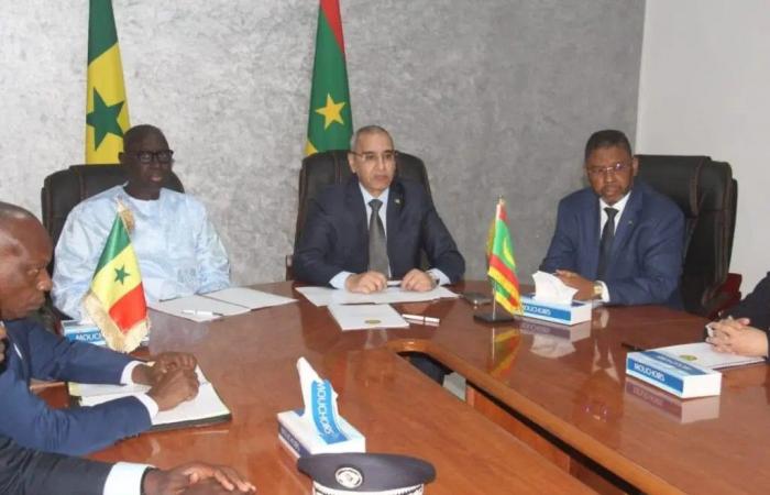 Mauritania-Senegal: the development of an agreement on irregular migration is a necessity