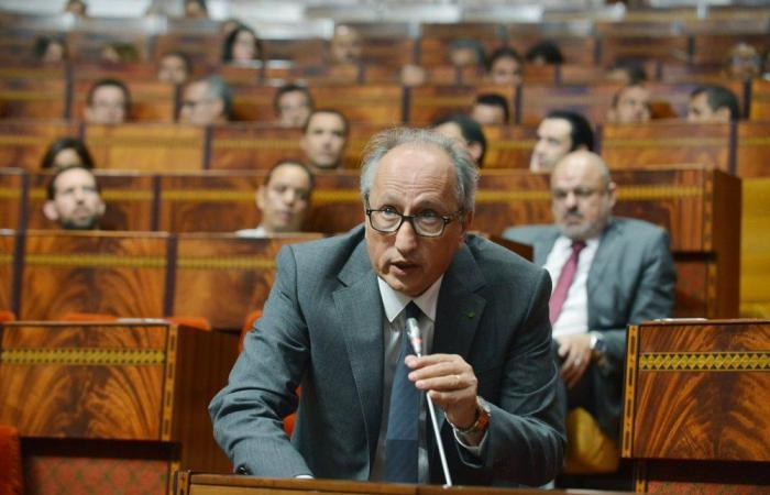 Amazigh language: training of more than 3,000 primary school teachers in bilingual classes (minister)