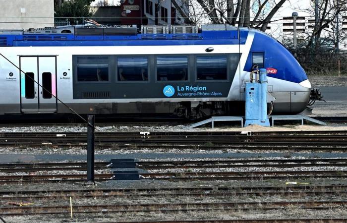 A young woman gives birth on a train in Isère, with the help of a conductor