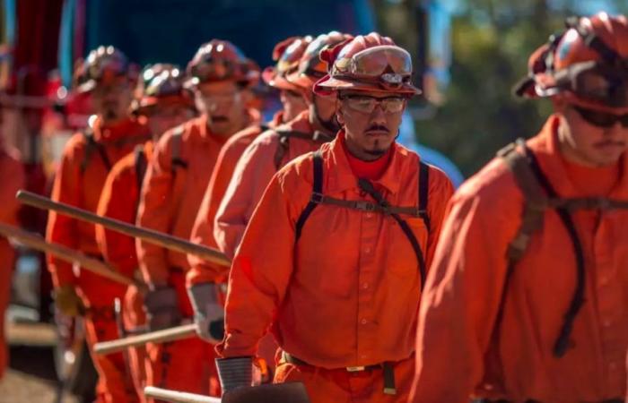 Fire in Los Angeles: Inmates fight the flames