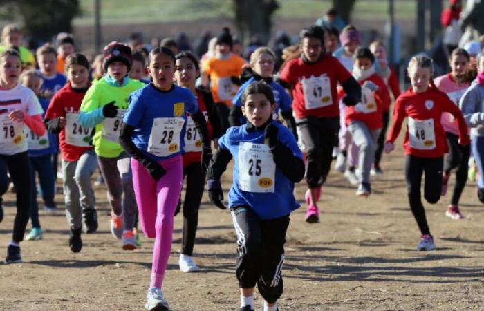 In pictures. 900 runners, titles, an icy wind… Relive the Vaucluse and Drôme-Ardèche cross-country championships