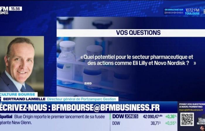 Stock Market Culture: “What potential for the pharmaceutical sector and stocks like Eli Lilly and Novo Nordisk?” by Aude Kersulec