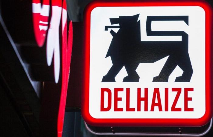 Delhaize announces the takeover of Louis Delhaize