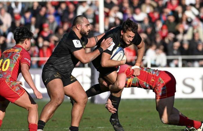 Champions Cup – Toulon returns to the big table after its victory against Harlequins