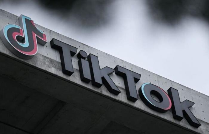 TikTok possibly banned: several users turn to another Chinese application