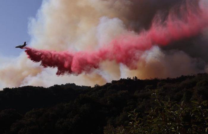 Los Angeles fires have already killed 24 people: Santa Ana winds will strengthen, 10 million people could be evacuated