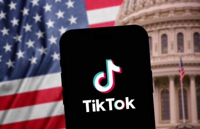 Can TikTok really disappear in the United States?