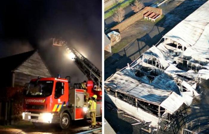 Drone images show what riding school looks like after a devastating fire (Waasmunster)