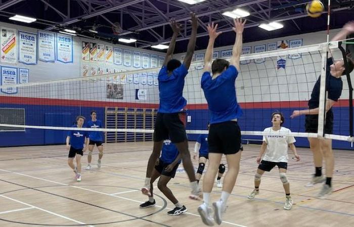 The secret of the Cégep de l’Outaouais Griffons in volleyball