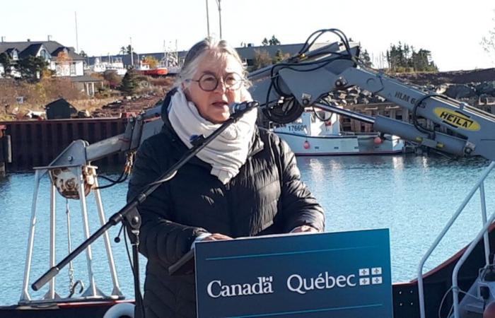 $10 million for 11 projects funded by Ottawa in Gaspésie