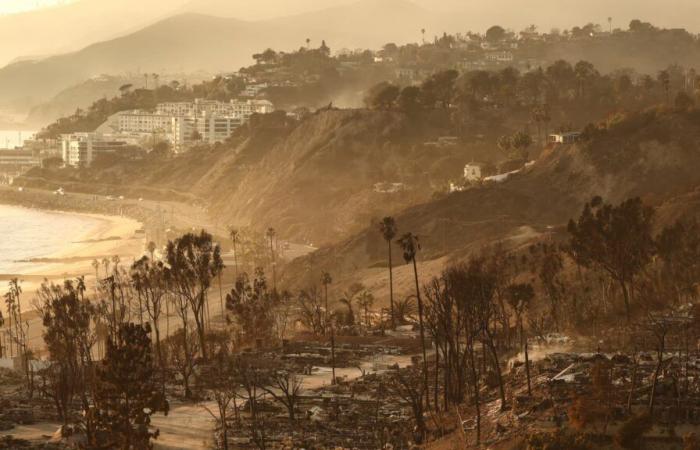 Fires in Los Angeles