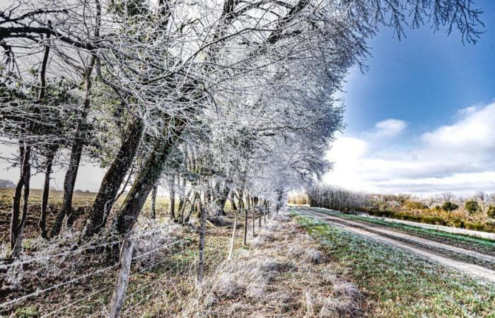 An icy wave hits France: 34 departments placed on alert