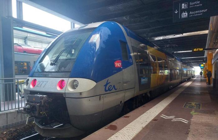 SNCF announces two months of work in Moselle: here are the disrupted trains