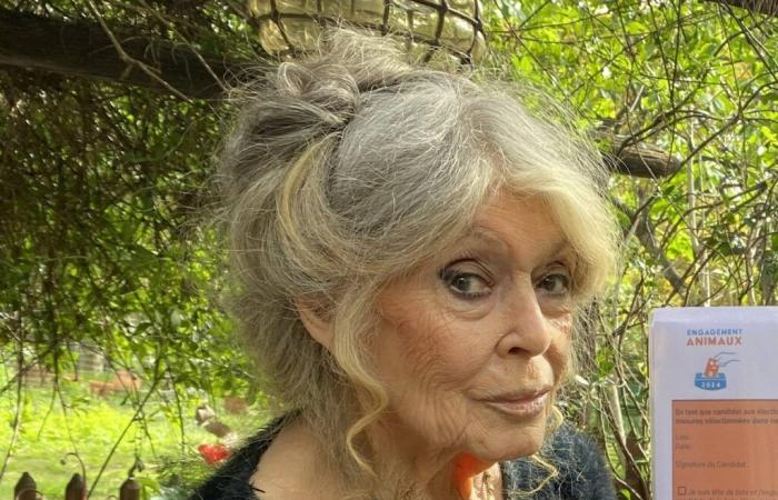 “Tsunami migration”, “Overpopulation”… Brigitte Bardot's apocalyptic wishes for 2025