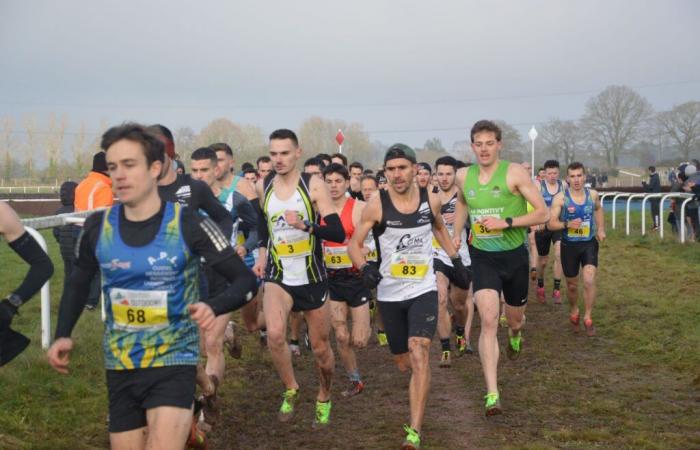 Questembert. Cross: Ludivine Martel champion of Morbihan