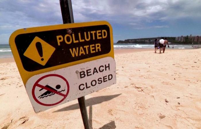 City of Sydney bans access to nine beaches after mysterious little balls appear