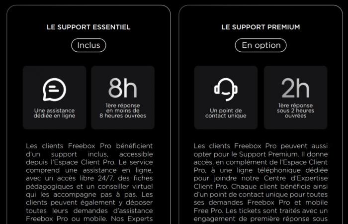 Free launches its new Freebox Pro: symmetrical 8 Gb/s, still at 49.99 euros excluding tax per month