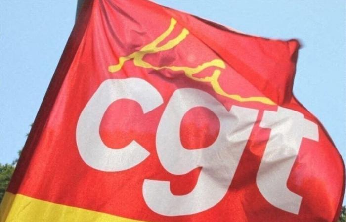 The general secretary of the CGT in Seine-Saint-Denis arrested during a demonstration