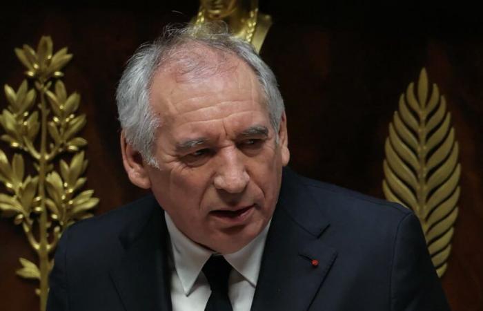 Bayrou defends France's “assets” in the “new world of brutal force”