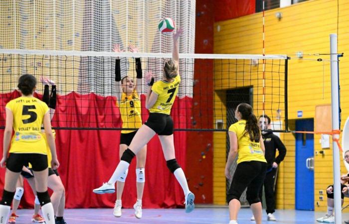 VOLLERY BALL (Pre-national women): A great victory for Le Creusot against Sallins les Bains