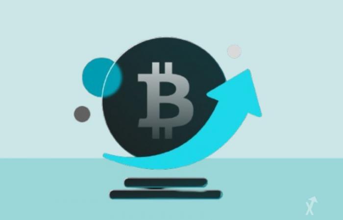 Stake BGBTC for rewards