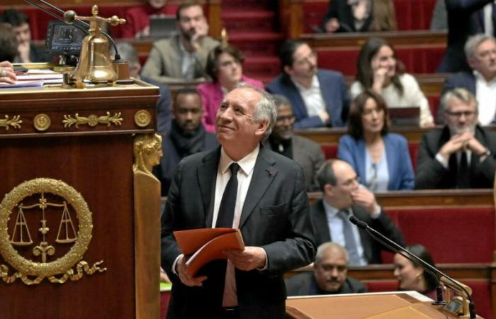 “François Bayrou did well not to suspend the pension reform”