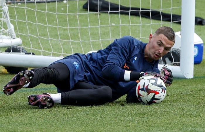 Lille: the composition of De Zerbi in the French Cup with De Lange in goal