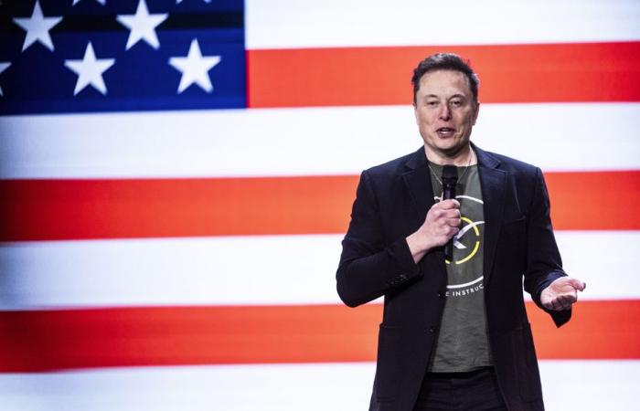 Purchase of TikTok’s US operations | Elon Musk in discussion, a “pure fiction” according to the platform