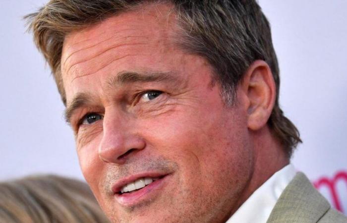 French woman loses her life savings to scammers posing as Brad Pitt