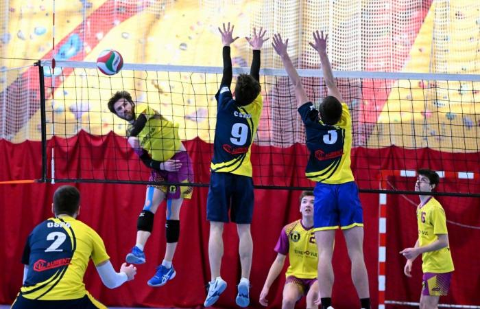 VOLLERY BALL (Pre-national women): A great victory for Le Creusot against Sallins les Bains