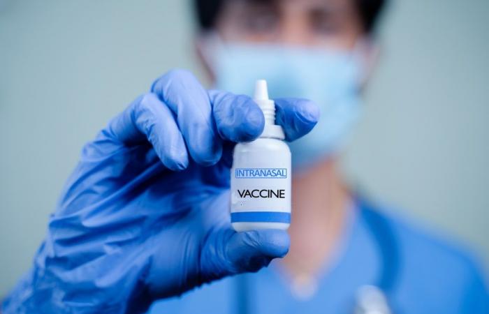 WHOLE COUGH: A nasal vaccine that blocks its spread