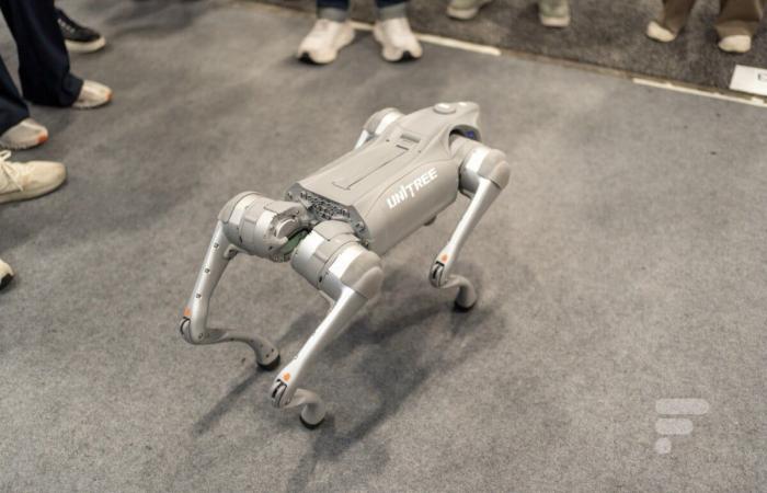 I saw the revolutionary $1,600 Chinese robots that are shaking Boston Dynamics