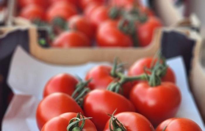 “The prices of greenhouse vegetables are already soaring”