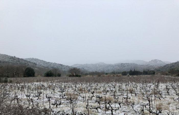 “A return from the East” announced, rain and snow hoped for in the Pyrénées-Orientales