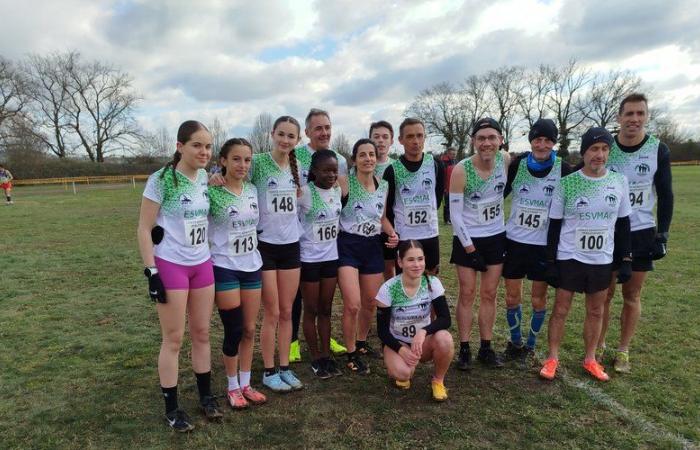 Departmental cross-country championships: a harvest of success for the Stade villeneuvois athletics ESVMAC