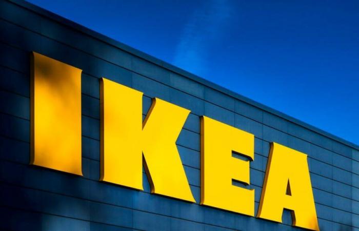 Ikea Aubonne: Dogs are no longer allowed in the store