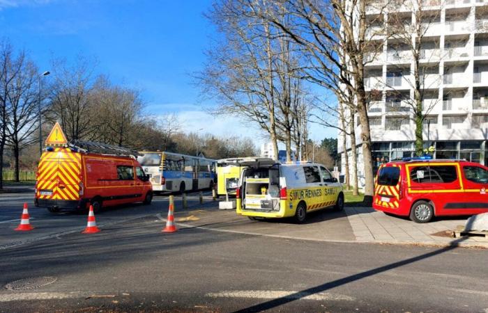 the cyclist in absolute emergency