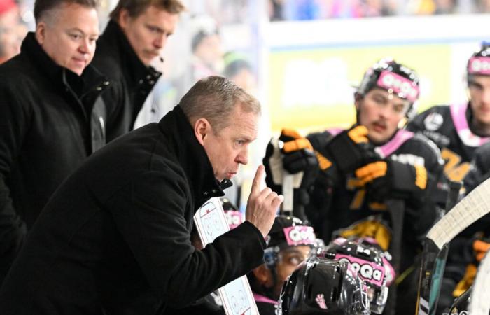 HC Ajoie reacts to rumors linked to HC Lugano