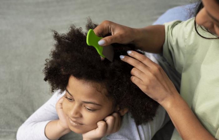 One in two children lives in a single-parent family in Guadeloupe, according to an INSEE study