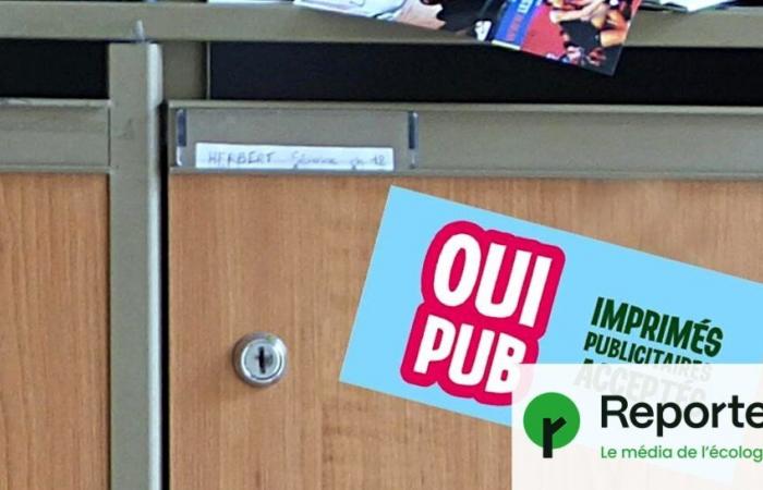 With the Yes pub stickers, the leaflets in retreat