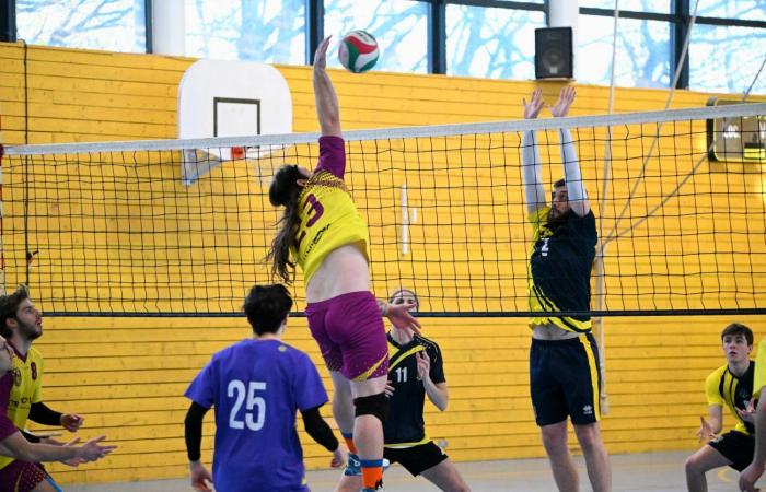 VOLLERY BALL (Pre-national women): A great victory for Le Creusot against Sallins les Bains