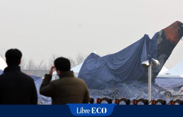 Did the Jeju Air plane experience a total electrical blackout? “The pilots attempted a desperate maneuver, there must have been panic on board”