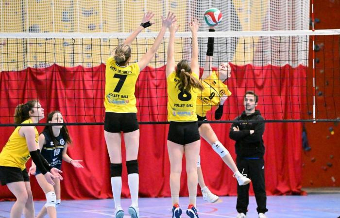 VOLLERY BALL (Pre-national women): A great victory for Le Creusot against Sallins les Bains